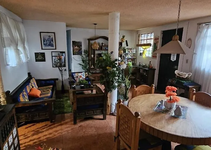Casa Lulu 4*