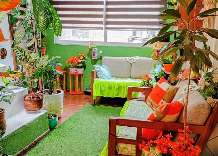 Casa Lulu Mexico